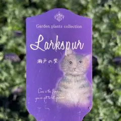 ひろココ♡様 リクエスト 8点 まとめ商品