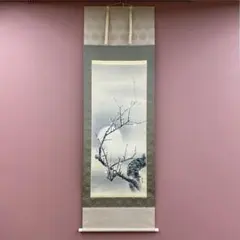 美品 掛け軸 国井幸雪作 梅月図 共箱 二重箱 おもてなし 美品 掛け軸 国井幸雪作 梅月図 共箱 二重箱 おもてなし 【公式通販】