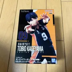 ハイキュー ポージングフィギュア 日向 影山 月島 黒尾 研磨 5点 未
