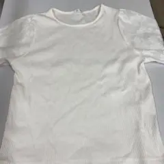 COLZA ホワイト 半袖Tシャツ