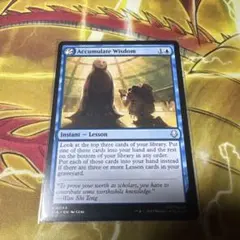 積み重ねられた叡智　Accumulate Wisdom 英語