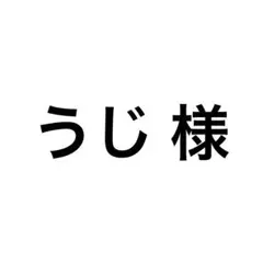 【数量限定】Vivienne Westwood 安全ピン ストーン オーブのサムネイル