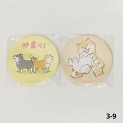 しばんばん　くじ引き堂　オンラインくじ　缶マグネット
