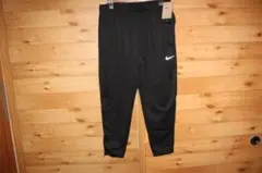 Item thumbnail for item 2a1e6476-854c-4566-815c-12e913e0b0b3