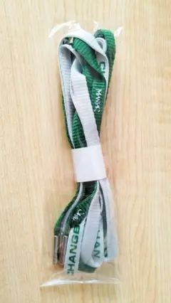 MANIAC ENCORE Blu-ray 購入特典 靴紐 Stray Kids