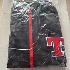 Item thumbnail for item dc2b3ab6-8801-4209-b27e-0b7952431b29