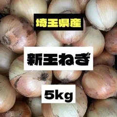 数量限定★埼玉県産新玉ねぎ★5kg✨のサムネイル