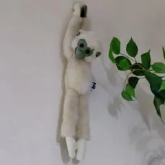 Item thumbnail for item 31263403-717d-4c00-a7c3-90633c398a64