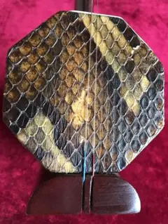 処分・二胡☆新中古・半額☆錦蛇皮☆必需品揃い☆十年保証☆初級者