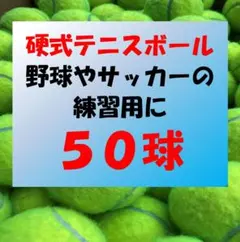 Item thumbnail for item 7b50ed16-0263-4f23-970f-3cc060f814ba