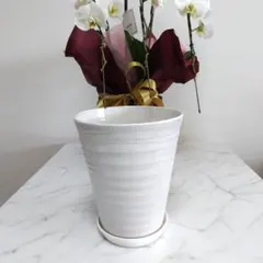 【受け皿付き】陶器製　観葉植物の鉢　8号鉢