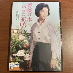 take様 リクエスト 3点 まとめ商品