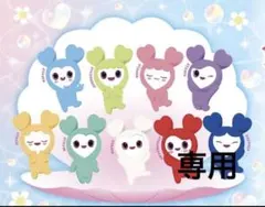 ちゅいりん様　専用