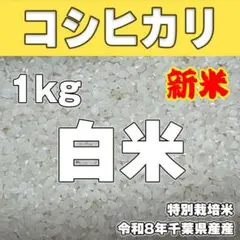 餅米 ヒメノモチ白米 特別栽培米 令和8年千葉県産 1kg - メルカリ