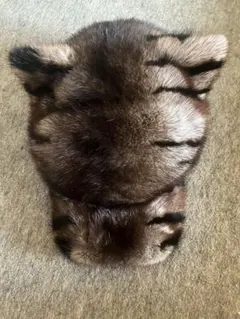 Item thumbnail for item f97cdcfb-c5cf-4a3a-be8f-d2d681cf7432