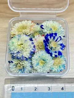 ハンドメイド　花材　ドライフラワー　マトリカリア　暖色系　20輪+α ② 0c60542e5854df31afaf71bd5b22e8