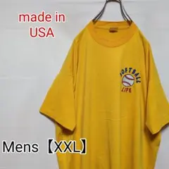S140【USA製】フルーツオブザルーム　半袖Tシャツ【XXL】シングルステッチ