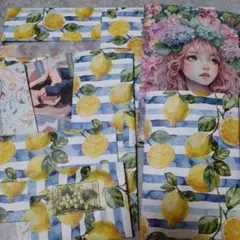 プチおすそ分けファイル☆豪華！８点セット☆フルーツ⑦