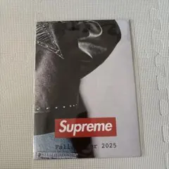 25fw Supreme POSTER 2025 ポスター