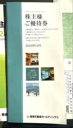 【最新✨匿名発送】東急不動産ホールデイングス株主優待券1冊