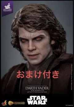 ホットトイズ　アナキン　ダース・ベイダー　HOT TOYS SWCJ アルチザンのサムネイル