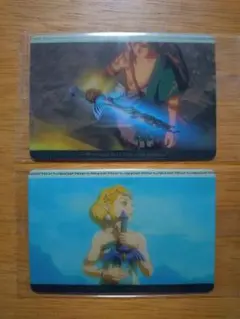 ゼルダの伝説 ティアーズ オブ ザ キングダム カード2枚セット