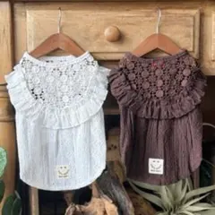 Item thumbnail for item 57daabed-d51d-49cb-af99-cd318a8beb5b