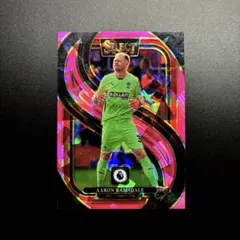 サッカーカード ラムズデール サウサンプトン PANINI SELECT ピンク