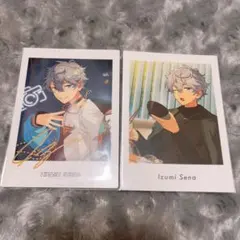 瀬名泉 ぱしゃっつ2点セット Knights