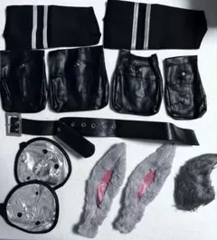 【値下げしました】ズートピア ジュディ 衣装一式