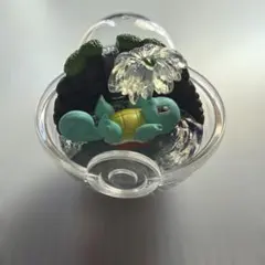ポケモン テラリウムコレクション ゼニガメ フィギュア