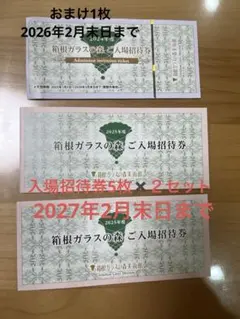 R指定 何かに使えるかもしれん券 - メルカリ