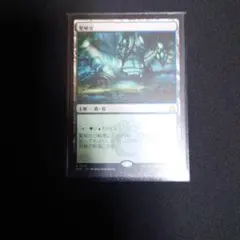 MTG シングル販売 繁殖池 ボーダーレス仕様 日本語版 - メルカリ