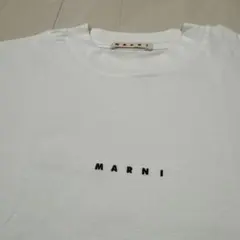 2977【希少サイズ50】ポルトガル製 マルニ センターロゴ 半袖 Tシャツ 