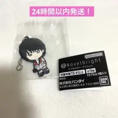 即購入⭕️ Novelbright ガチャ カプセルラバーマスコット　竹中雄大