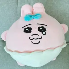 2026年最新】おぱんちゅうさぎ クッションの人気アイテム - メルカリ