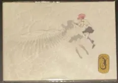 まどかマギカ　ワルプルギスの廻天　特装版　パンフレット