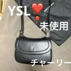 サンローラン未使用ショルダーバッグ(チャーリー)