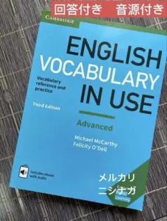 English Vocabulary in Use Advanced
