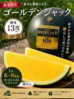 希少 黄肉スイカ ゴールデンジャック 6-8kg 種無しのサムネイル