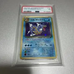 PSA8 ポケモンカード オーダイル 旧裏面 プレミアムファイル - メルカリ