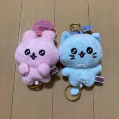 チェゴシム♡