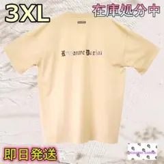 Item thumbnail for item 33e5b014-f7d3-4bac-a975-de2970190564