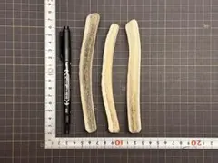 2026年最新】鮎タモ鹿の角の人気アイテム - メルカリ