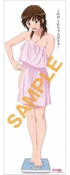 2025年最新】アマガミ 布ポスターの人気アイテム - メルカリ