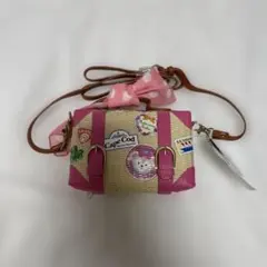 【未使用】ディズニーシー　スプリングヴォヤッジ　カメラケース　シェリーメイのサムネイル