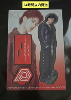 小波津志 PSYCHICFEVER アクスタ