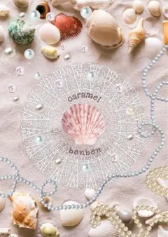 A4ポスター　No.11 白い砂浜と貝殻