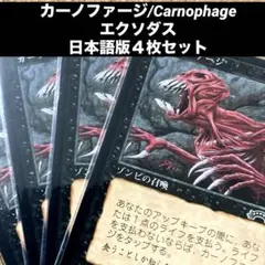 2026年最新】Carnophageの人気アイテム - メルカリ