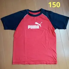 Tシャツ　プーマ　150　レッド